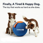 Dog Herding Ball Puncture-Resistant Cover Interactive Chase Toy