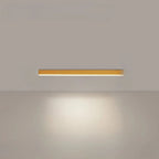 Ceiling Light Integrated LED Three Color Temperatures