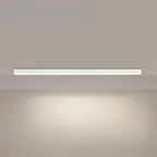 Ceiling Light Integrated LED Three Color Temperatures