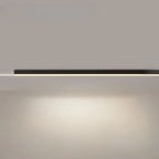 Ceiling Light Integrated LED Three Color Temperatures