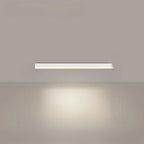 Ceiling Light Integrated LED Three Color Temperatures