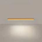 Ceiling Light Integrated LED Three Color Temperatures