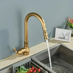 Kitchen Faucet Pull-Out Solid Brass Antique Bronze