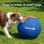 Dog Herding Ball Puncture-Resistant Cover Interactive Chase Toy