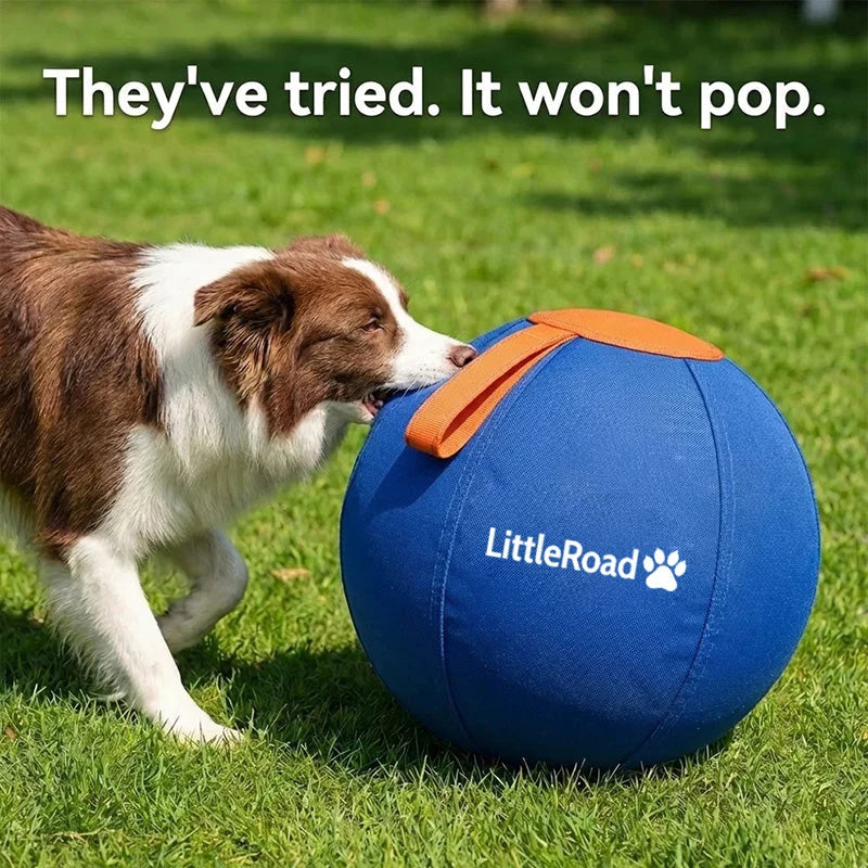 Dog Herding Ball Puncture-Resistant Cover Interactive Chase Toy