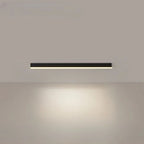 Ceiling Light Integrated LED Three Color Temperatures