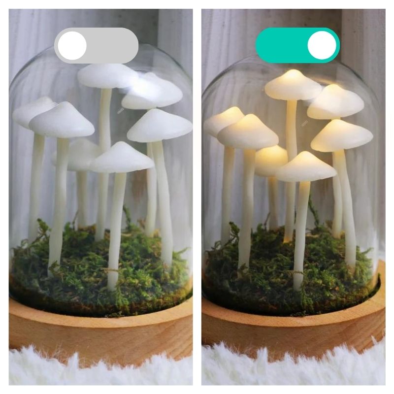 Glow Mushroom Assembly Kit