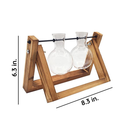 Water-Rooted Glass Plant Display