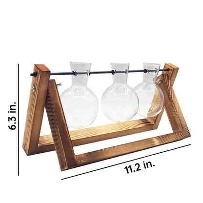 Water-Rooted Glass Plant Display
