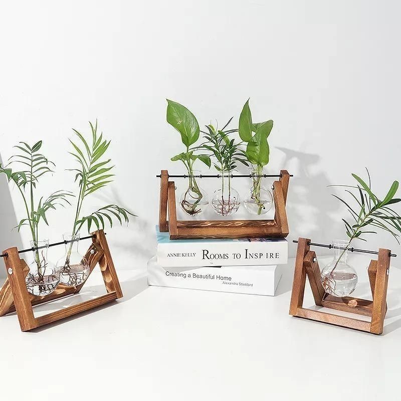 Water-Rooted Glass Plant Display