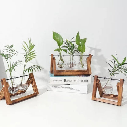 Water-Rooted Glass Plant Display
