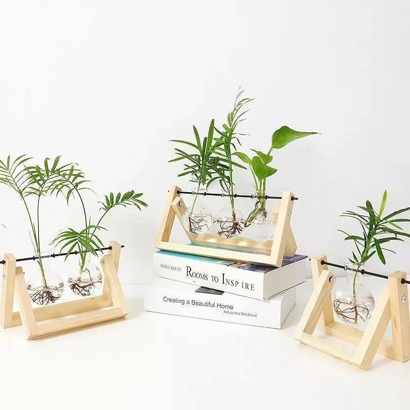 Water-Rooted Glass Plant Display