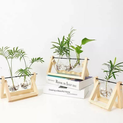 Water-Rooted Glass Plant Display