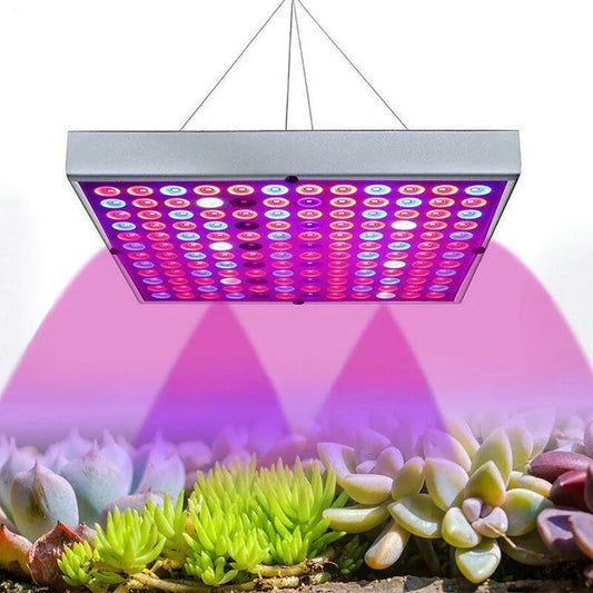 Indoor Plant Grow Light Bar