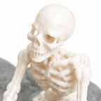 Aquarium Ornament Skeleton Air-Driven Spinning Wheel