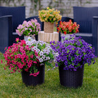 Artificial Flowers UV-Resistant & Colorfast