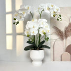 Artificial Orchid Arrangement Realistic Low-Maintenance White Ribbed Pot