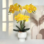 Artificial Orchid Arrangement Realistic Low-Maintenance White Ribbed Pot