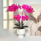 Artificial Orchid Arrangement Realistic Low-Maintenance White Ribbed Pot