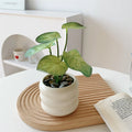 Artificial Potted Plant Realistic Low-Maintenance Decor