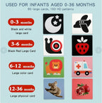 Baby Learning Flash Cards Color Recognition & Categorization