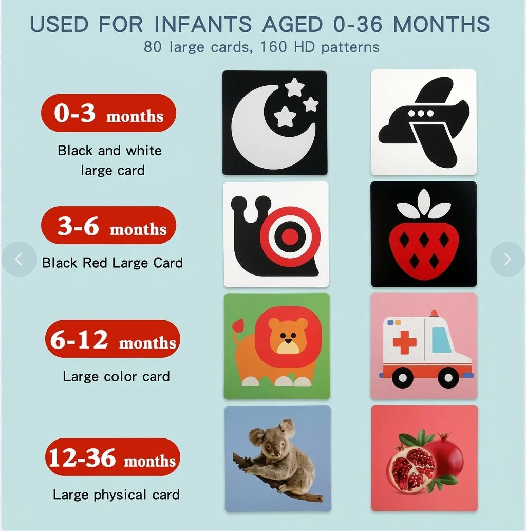 Baby Learning Flash Cards Color Recognition & Categorization
