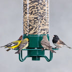 Bird Feeder Squirrel-Proof Rotating 4 Feeding Stations