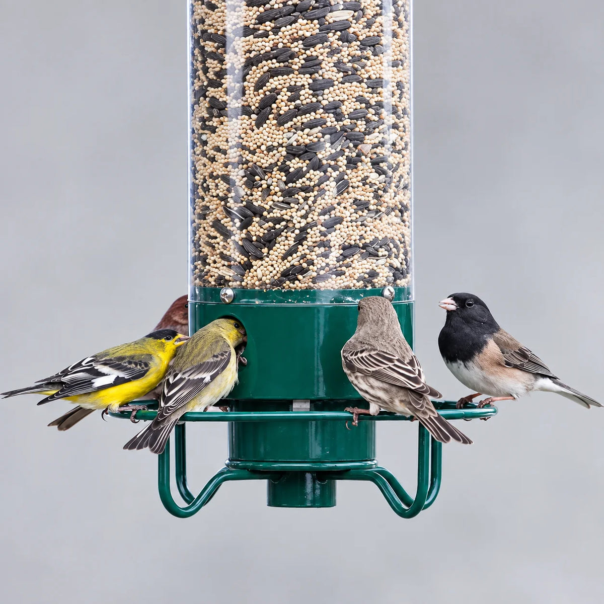Bird Feeder Squirrel-Proof Rotating 4 Feeding Stations