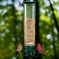 Bird Feeder Weight-Activated Spinning Perch 5-Pound Capacity