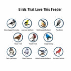 Bird Feeder Weight-Activated Spinning Perch 5-Pound Capacity