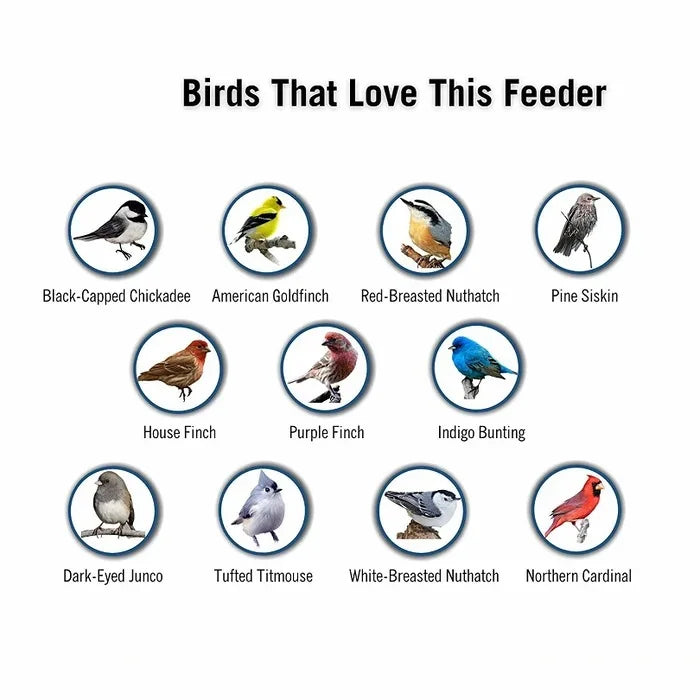 Bird Feeder Weight-Activated Spinning Perch 5-Pound Capacity