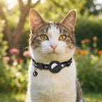 Cat Collar GPS Tracker Holder Quick-Release Buckle