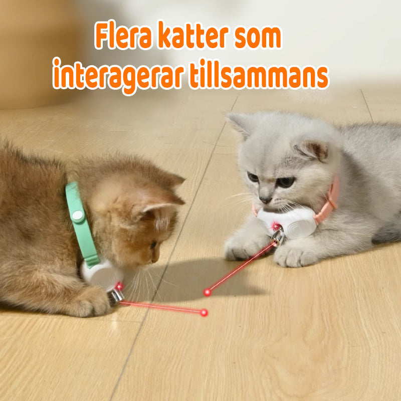 Cat Collar Motion-Activated Laser USB Rechargeable