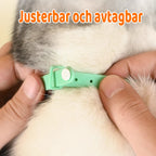 Cat Collar Motion-Activated Laser USB Rechargeable