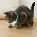 Cat Laser Collar Automatic Play Adjustable Fit