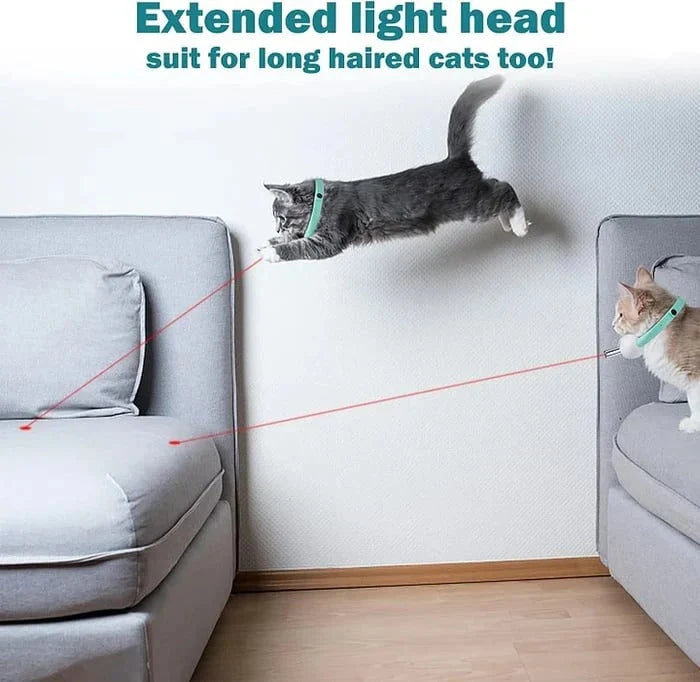 Cat Laser Collar Automatic Play Adjustable Fit