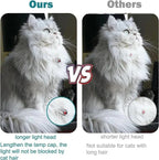 Cat Laser Collar Automatic Play Adjustable Fit