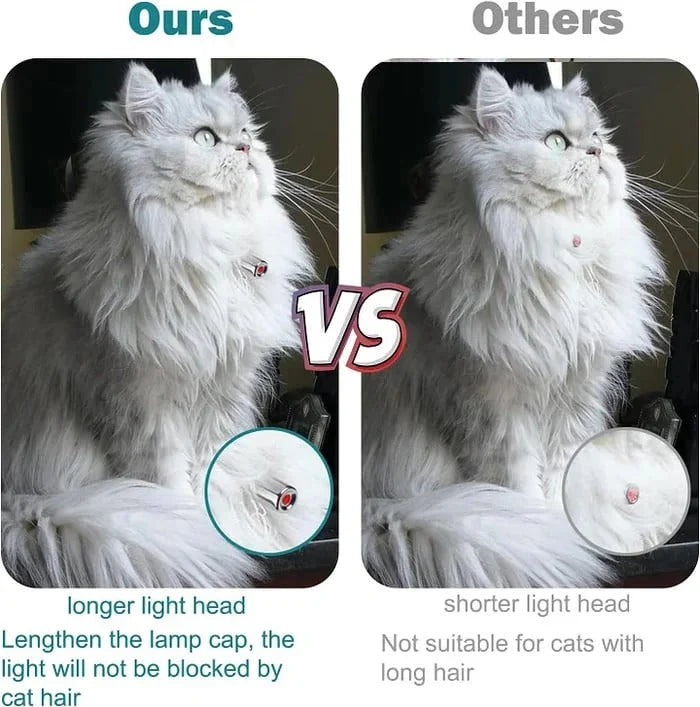 Cat Laser Collar Automatic Play Adjustable Fit