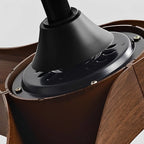 Ceiling Fan Quiet DC Motor Reversible Airflow