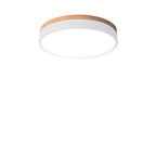 Ceiling Light Natural Wood Accent Three Light Tones