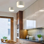Ceiling Light Surface-Mounted Low-Profile Adjustable Color Temperature