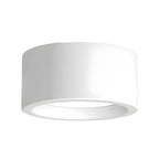 Ceiling Light Surface-Mounted Low-Profile Adjustable Color Temperature