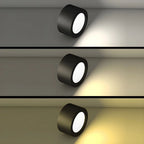 Ceiling Light Surface-Mounted Low-Profile Adjustable Color Temperature