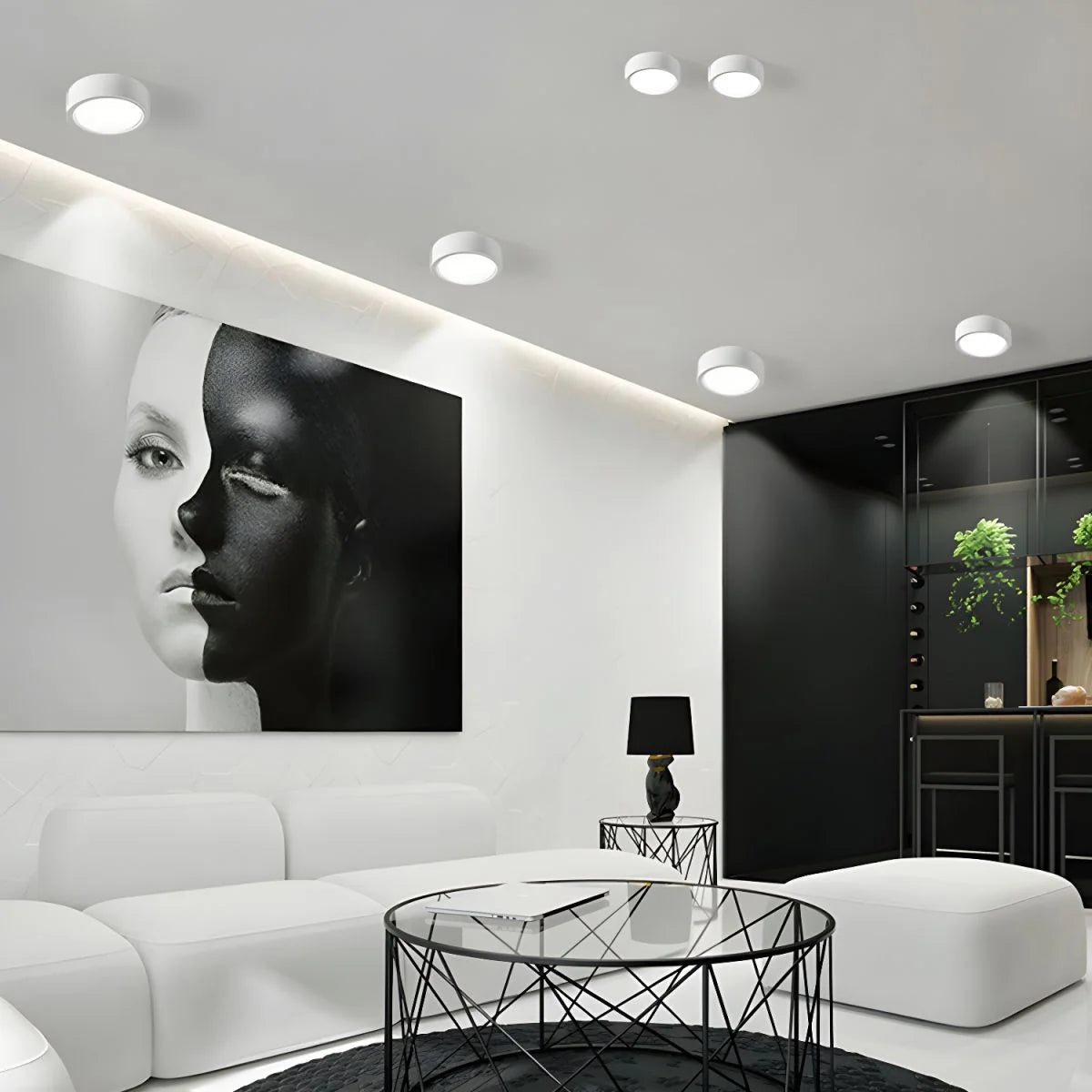 Ceiling Light Surface-Mounted Low-Profile Adjustable Color Temperature