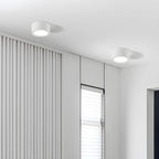 Ceiling Light Surface-Mounted Low-Profile Adjustable Color Temperature