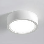 Ceiling Light Surface-Mounted Low-Profile Adjustable Color Temperature