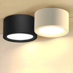 Ceiling Light Surface-Mounted Low-Profile Adjustable Color Temperature