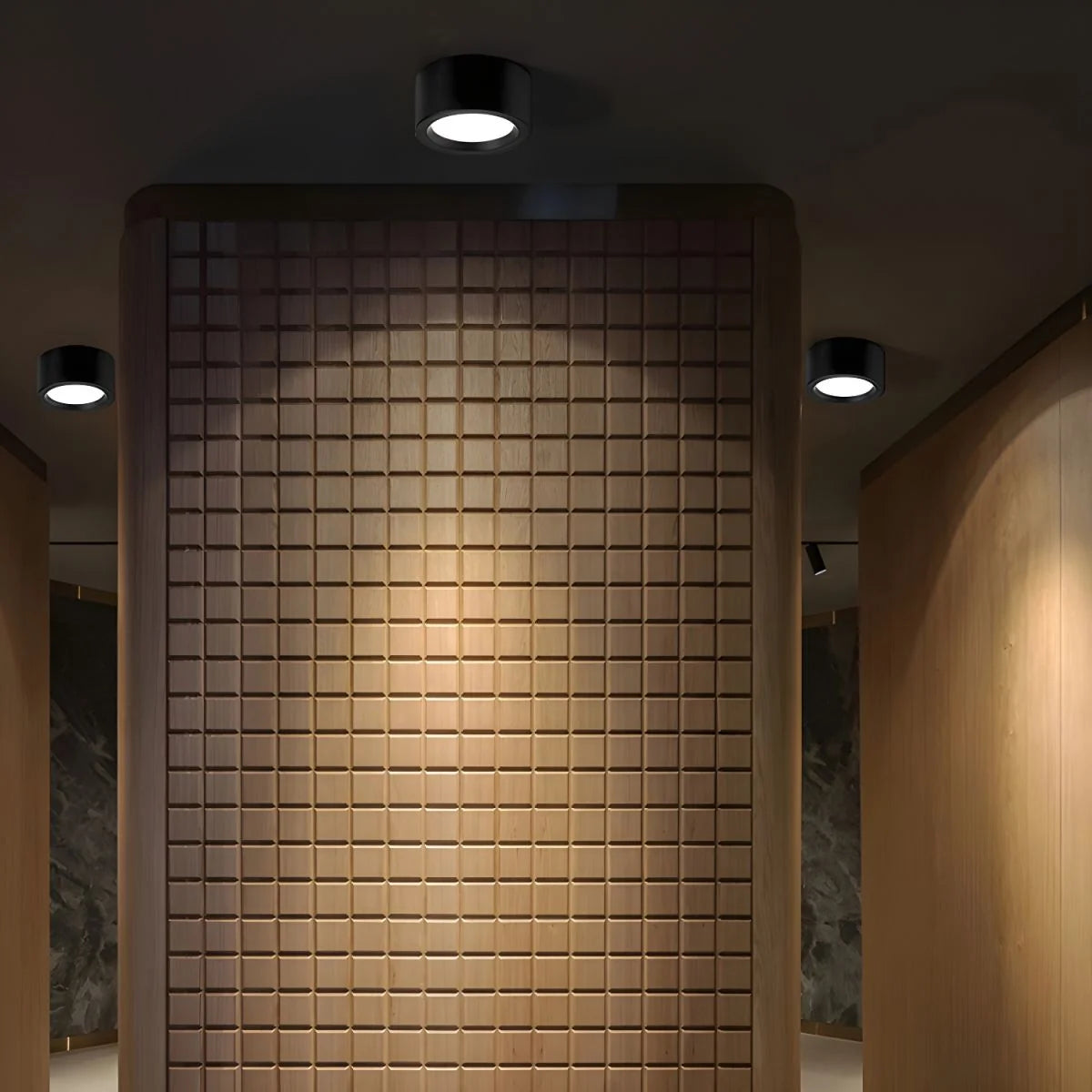 Ceiling Light Surface-Mounted Low-Profile Adjustable Color Temperature