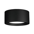 Ceiling Light Surface-Mounted Low-Profile Adjustable Color Temperature
