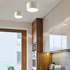 Ceiling Light Surface-Mounted Low-Profile Adjustable Color Temperature